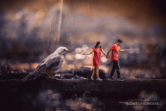 Miniature Prewedding shoot with bird